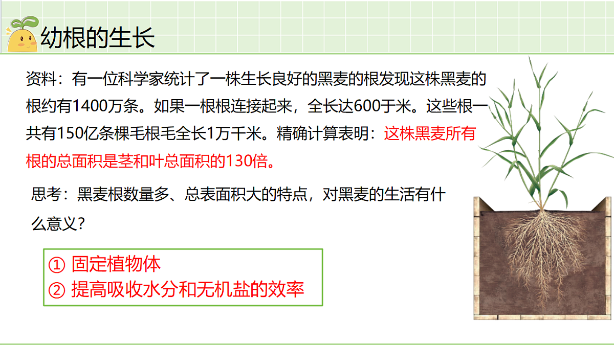 18184677第4页
