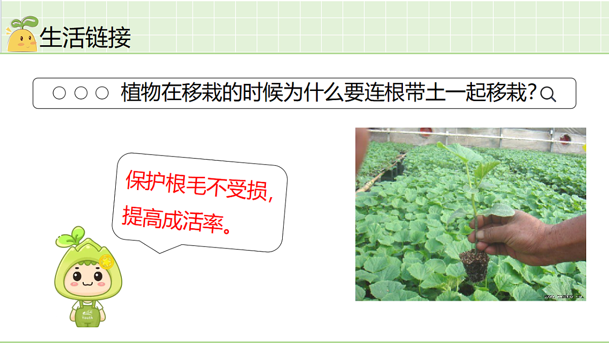 18184677第5页