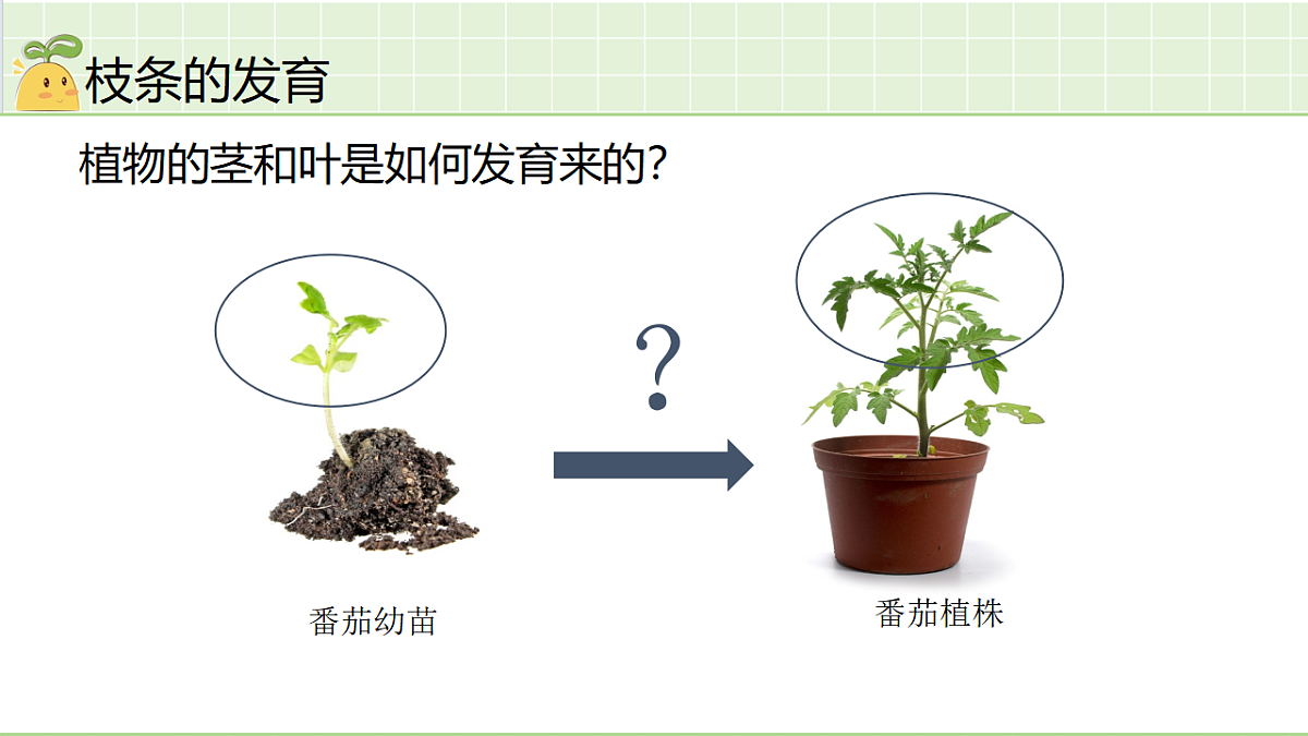 18184677第6页
