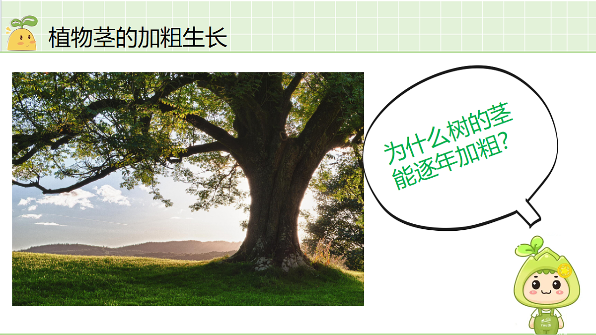 18184677第8页