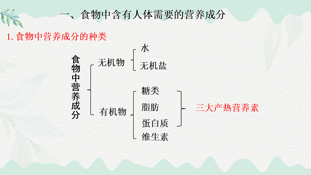 18184693第3页