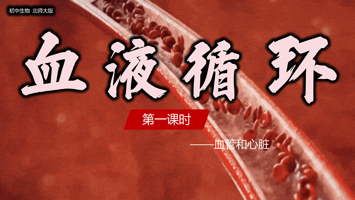 18184697第1页