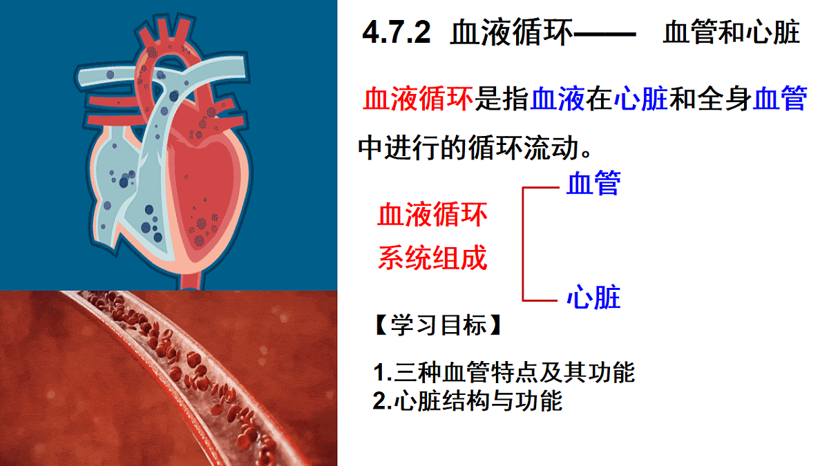 18184697第2页
