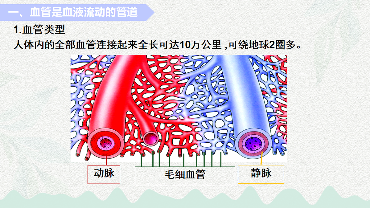 18184697第3页