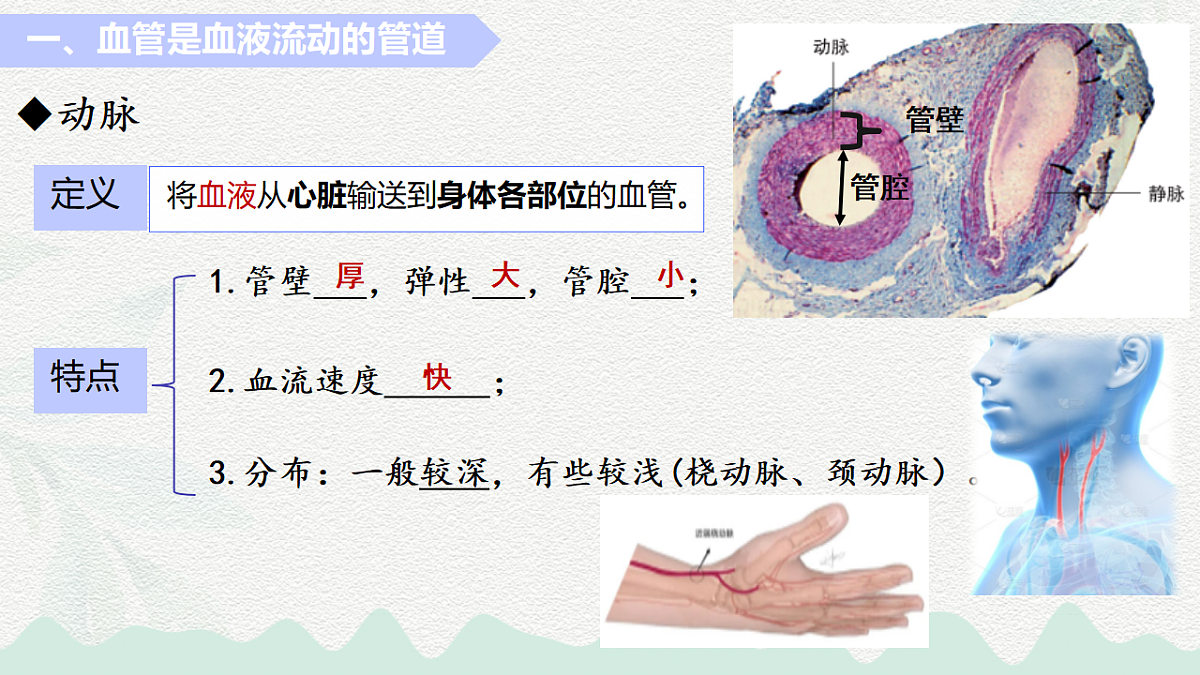 18184697第4页