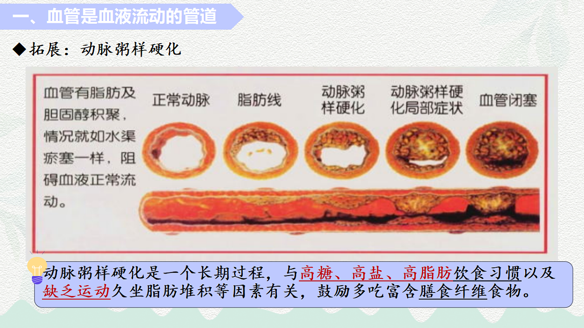 18184697第5页