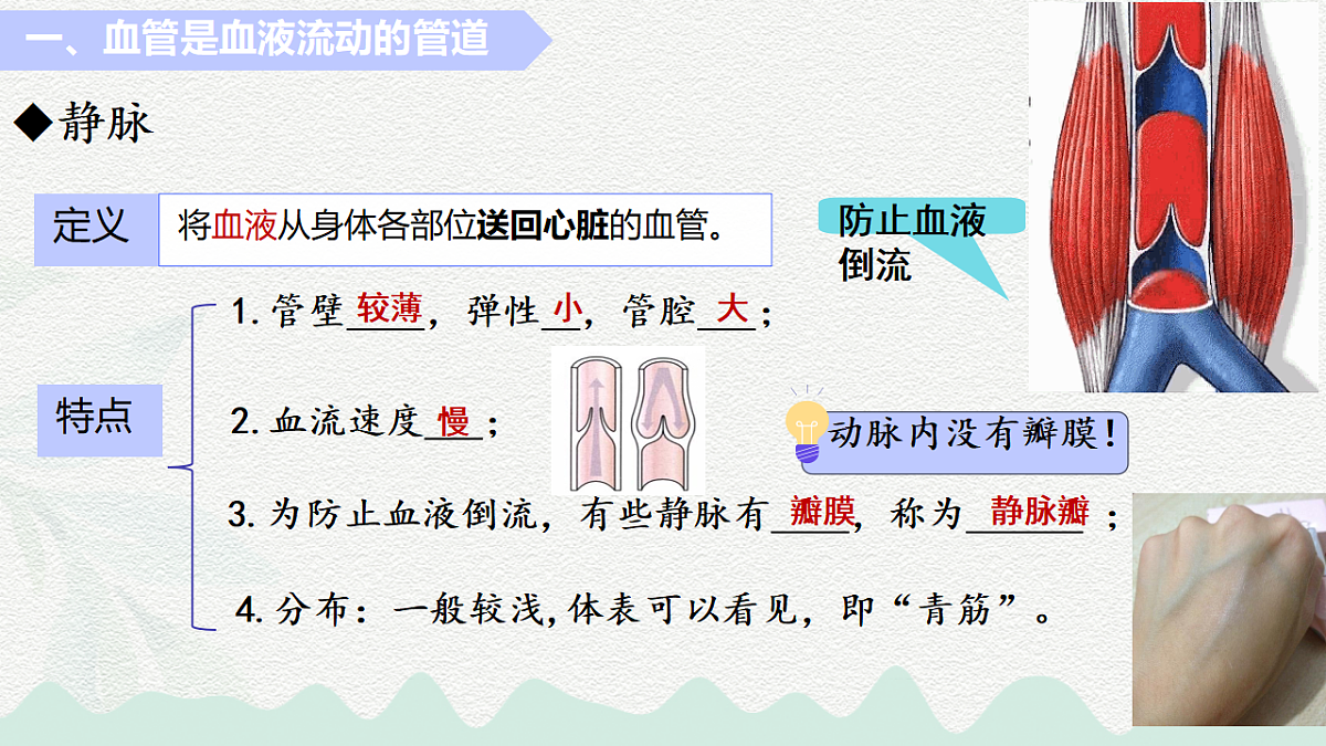 18184697第6页