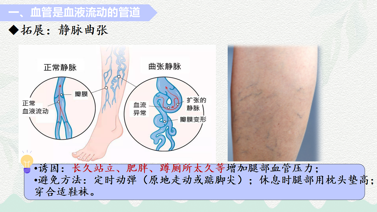 18184697第7页