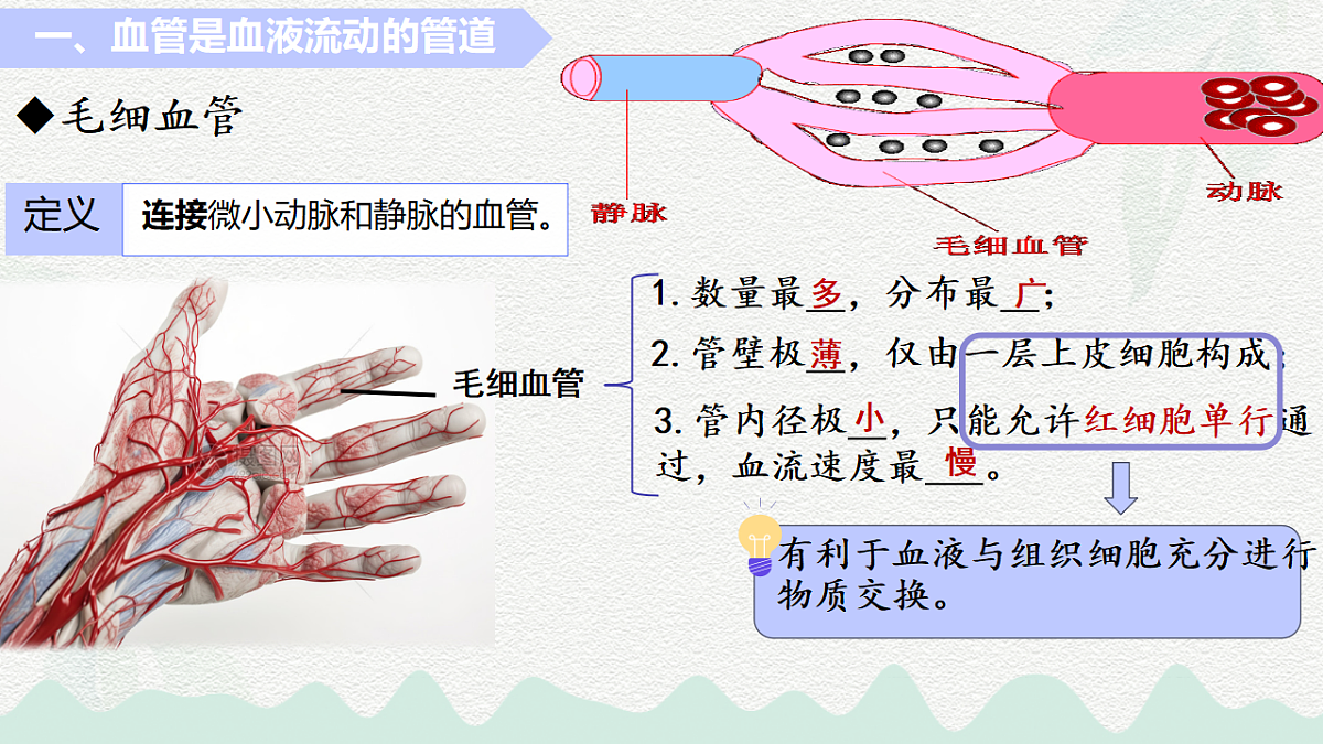 18184697第8页