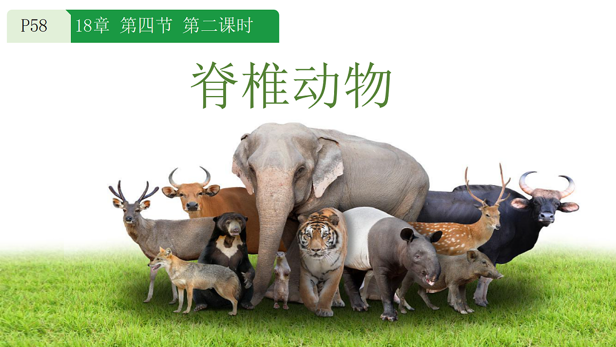 18184698第1页