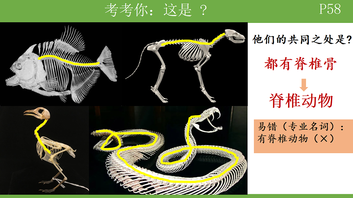 18184698第2页