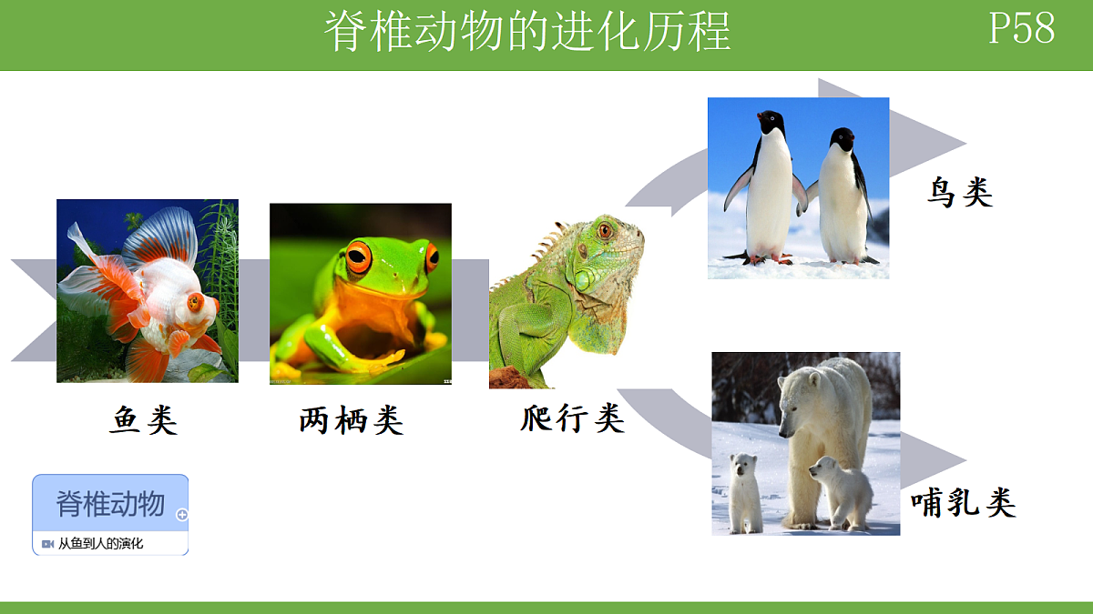 18184698第3页