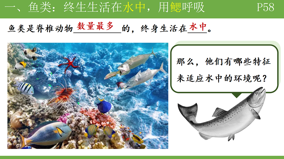 18184698第4页