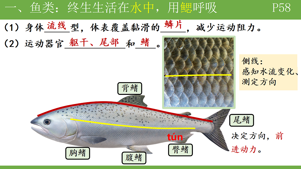 18184698第5页