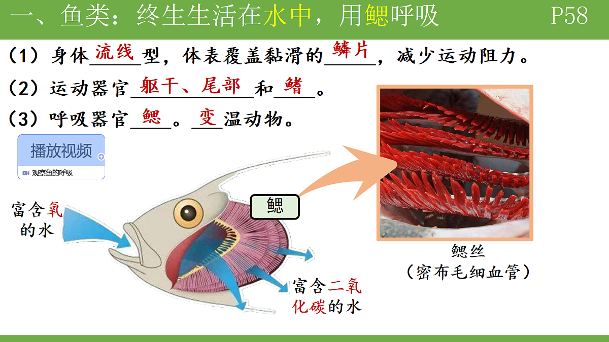 18184698第6页