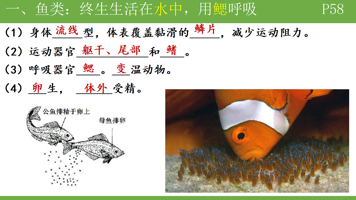 18184698第7页