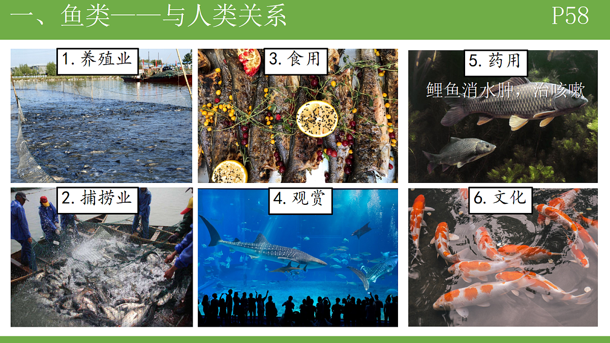 18184698第8页