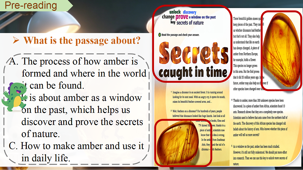Unit 5 Looking into nature Understanding ideas Reading（课件）英语新教材外研版八年级下册第6页