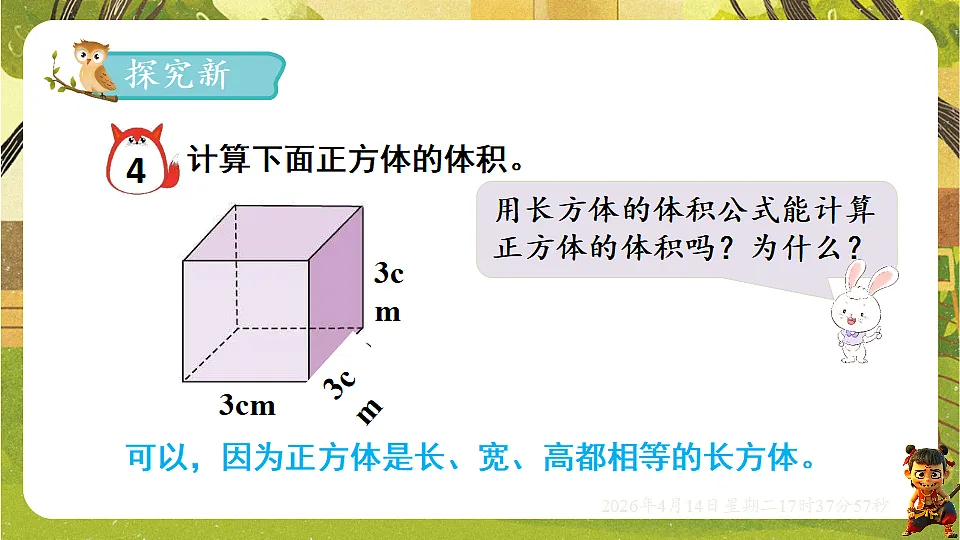 18186205第3页