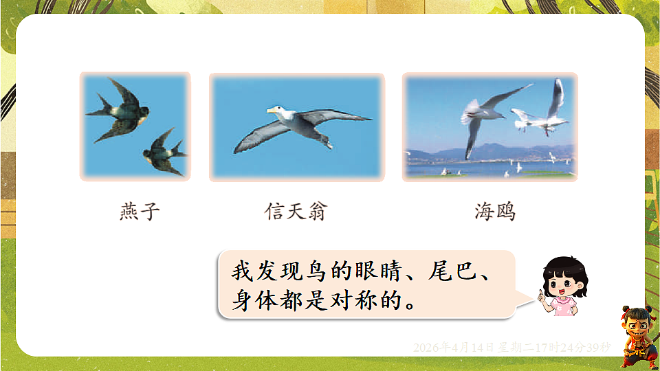 18186299第5页