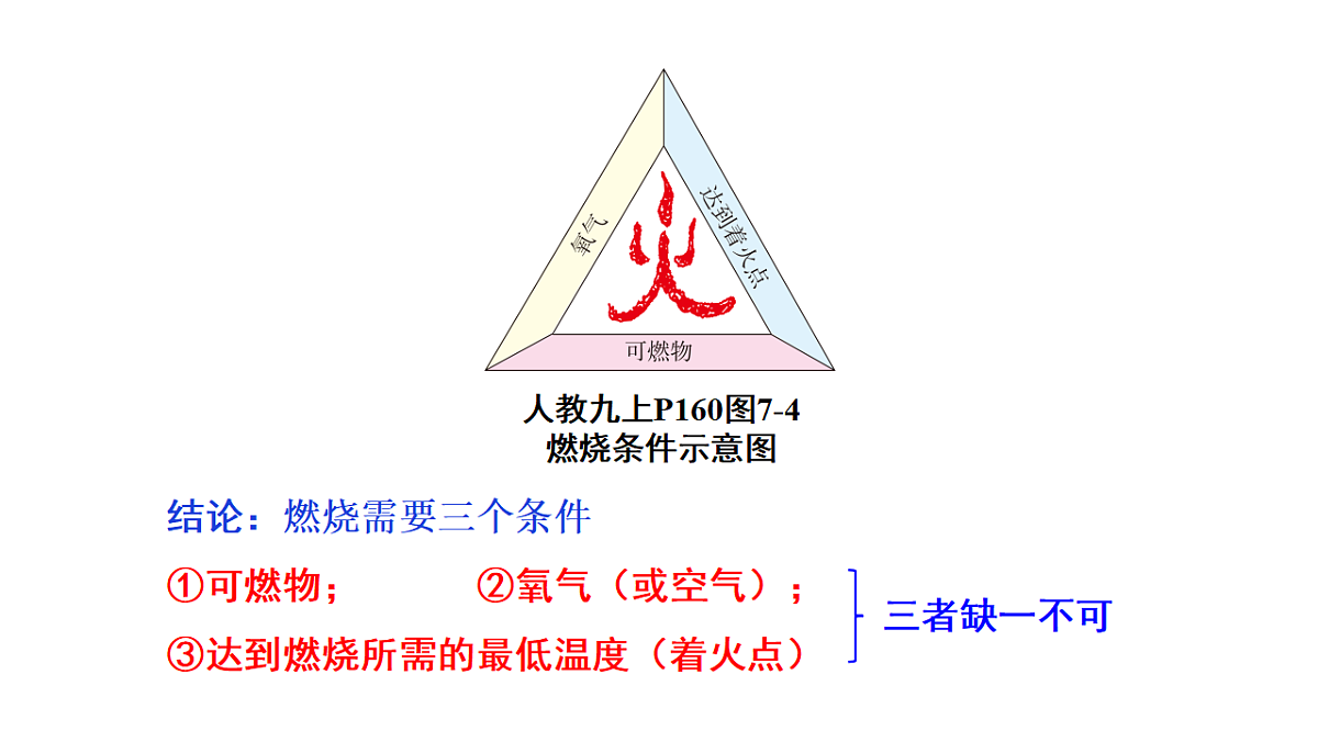 18186859第3页
