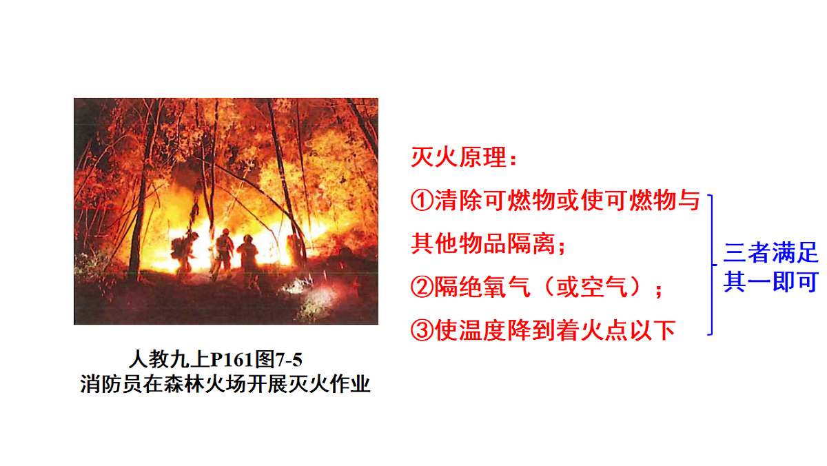 18186859第4页