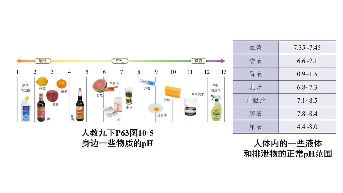18186862第5页