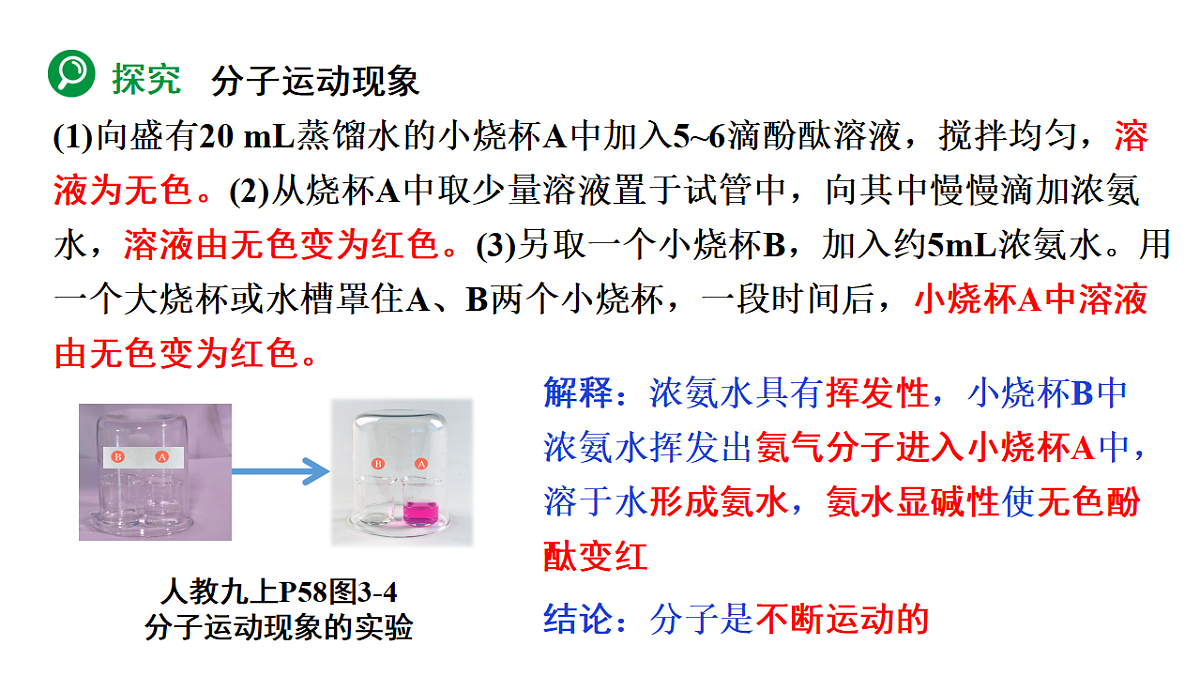 18186876第4页