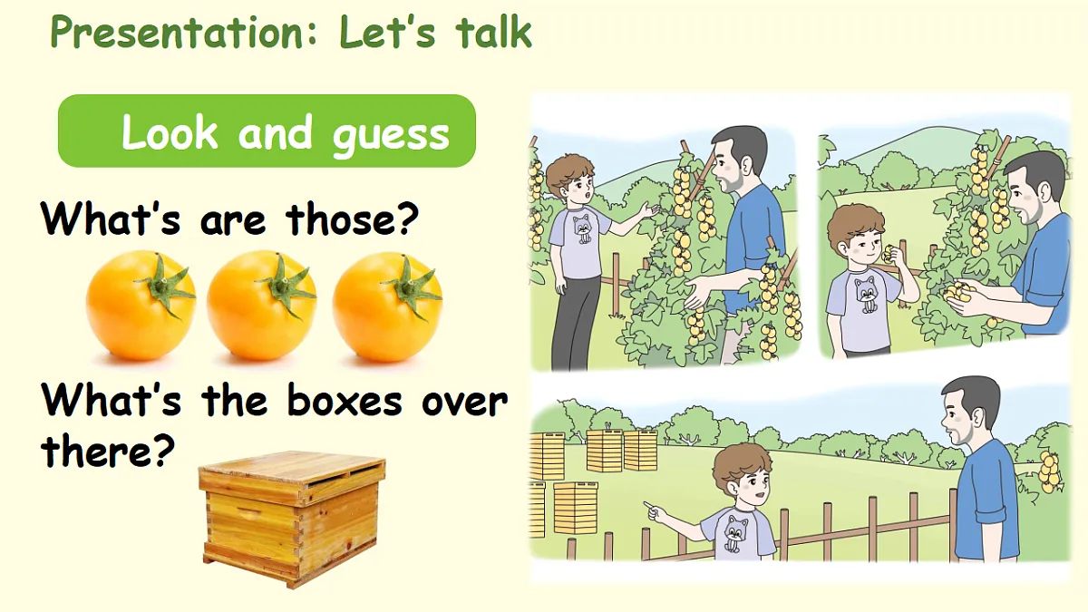 18187870第3页