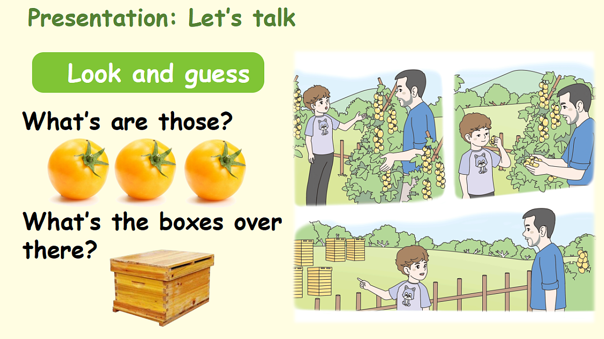 18187870第3页