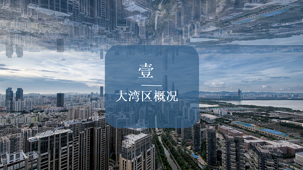 18187978第5页