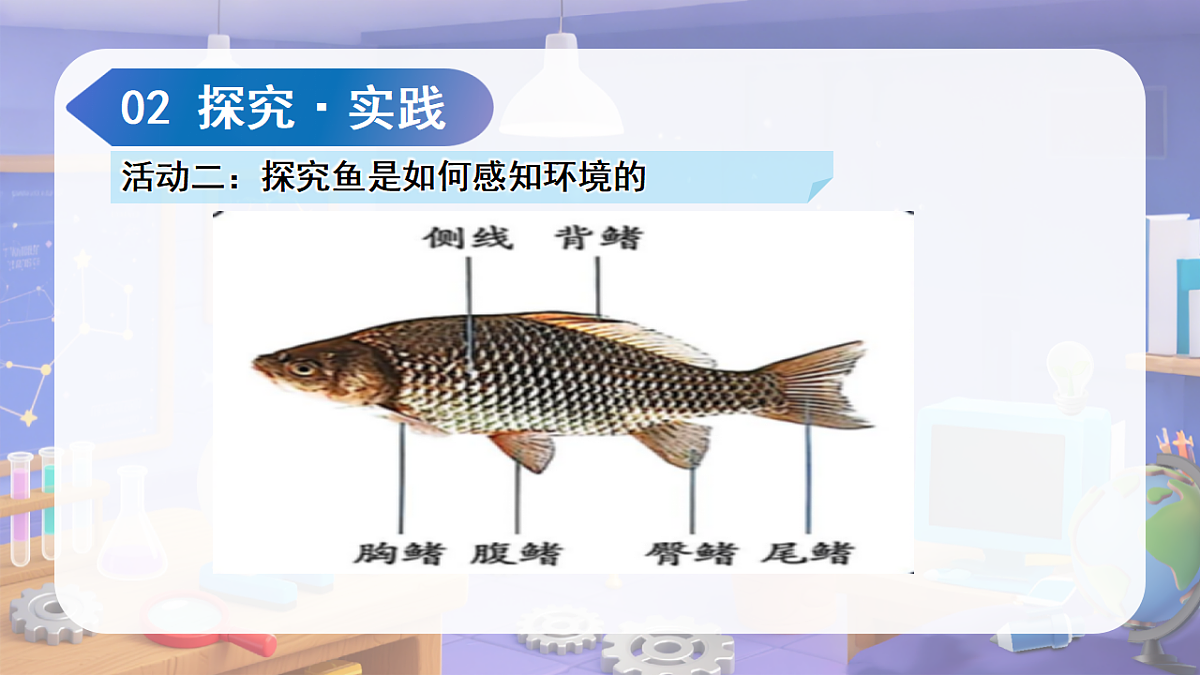 18188904第7页