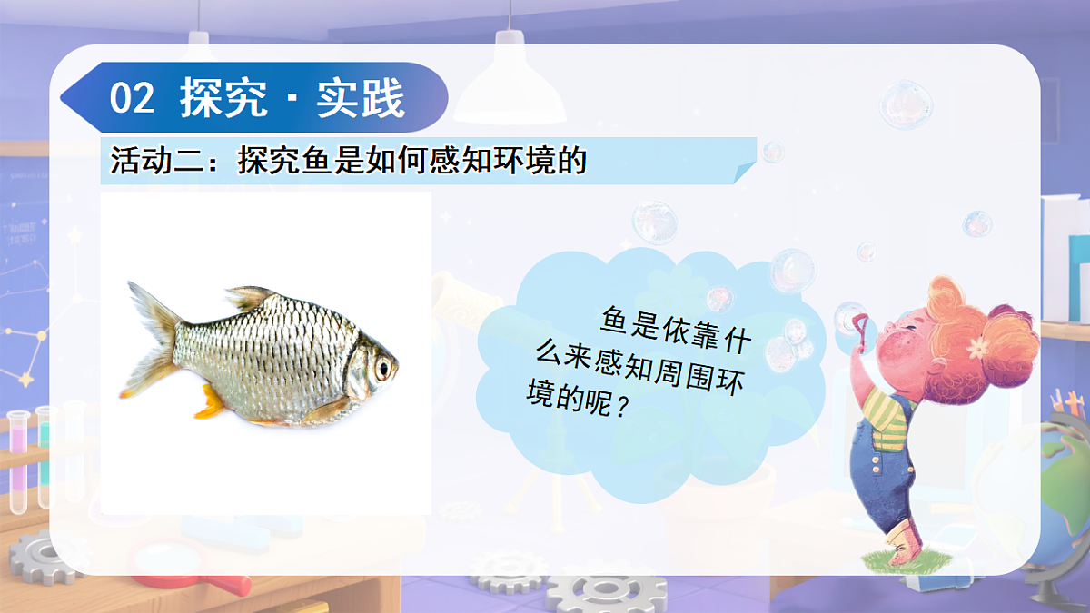18188904第8页