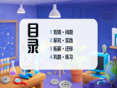 1.3 植物的“身体” 第一课时（教学课件）科学冀人版三年级上册（新教材）