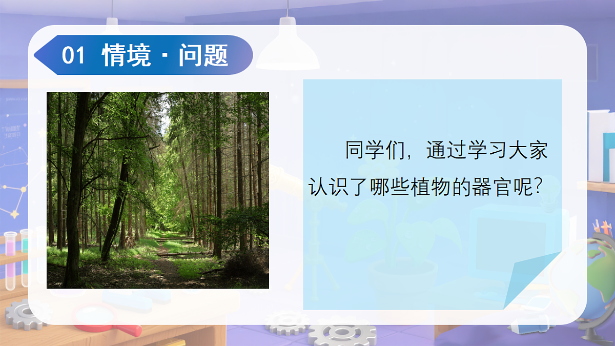 18188906第5页