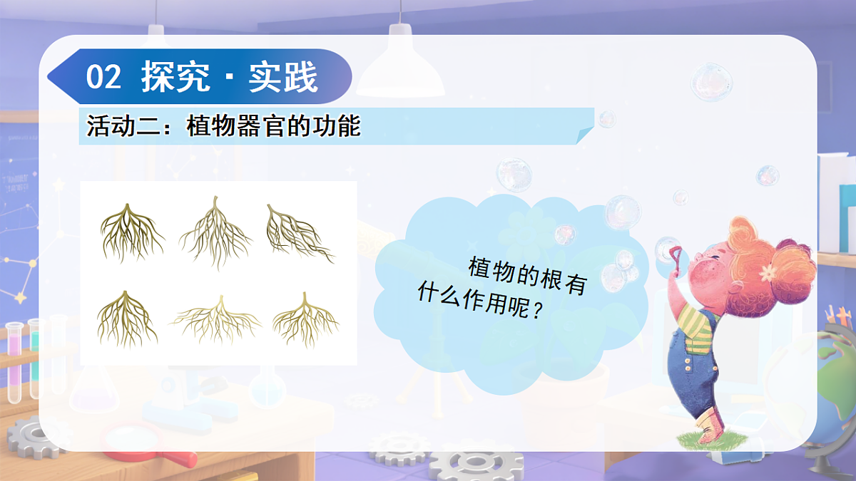 18188906第7页