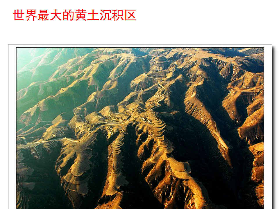 18188954第3页