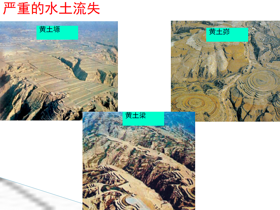 18188954第8页