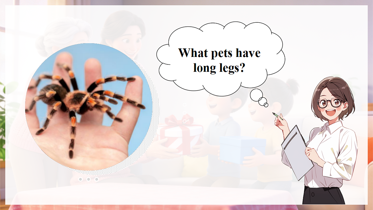 Unit 2 课时 1Part A Let’s talk & Describe and choose第7页