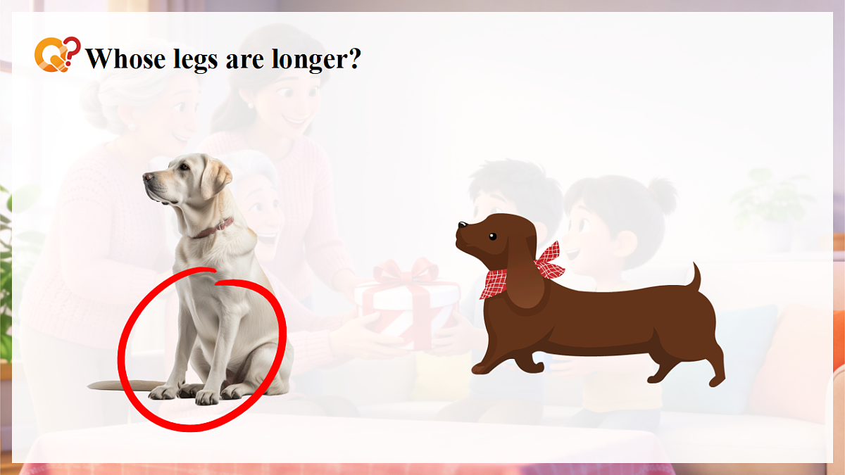 Unit 2 课时 1Part A Let’s talk & Describe and choose第8页
