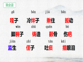 统编版小学语文五年级下册教学课件《13 人物描写一组》