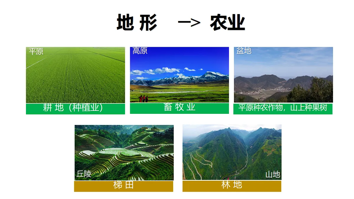 18189222第5页