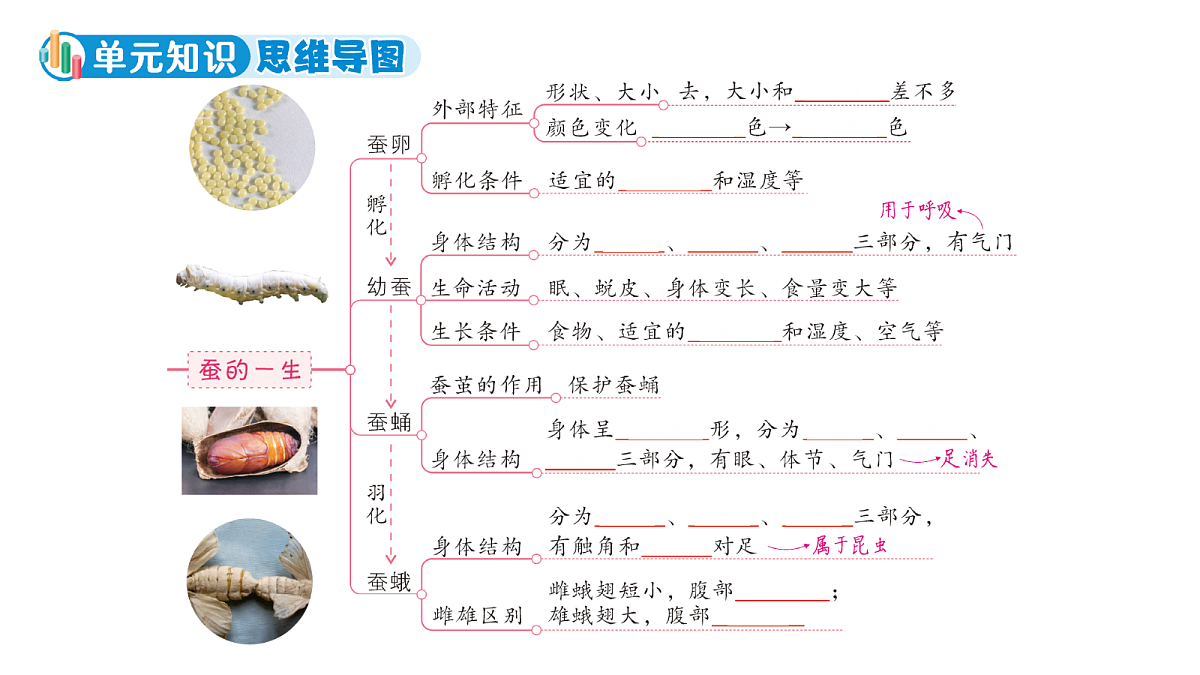 18189959第3页
