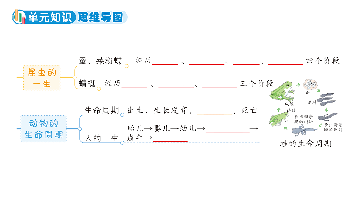 18189959第4页