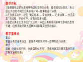 8.3 统计与概率 课件 2025-2026学年二年级数学下册北师大版