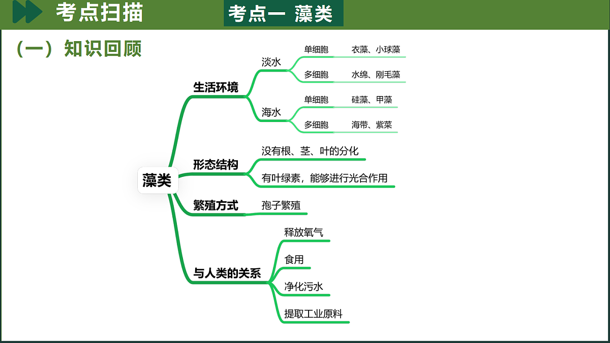 18190200第4页