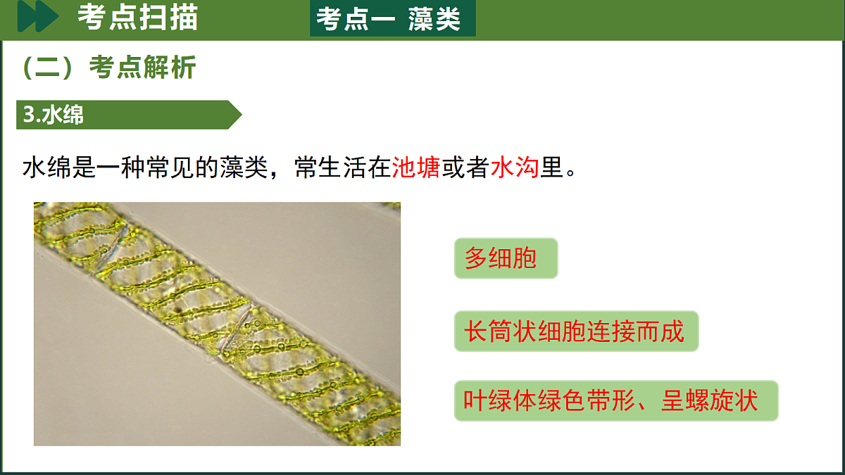 18190200第6页