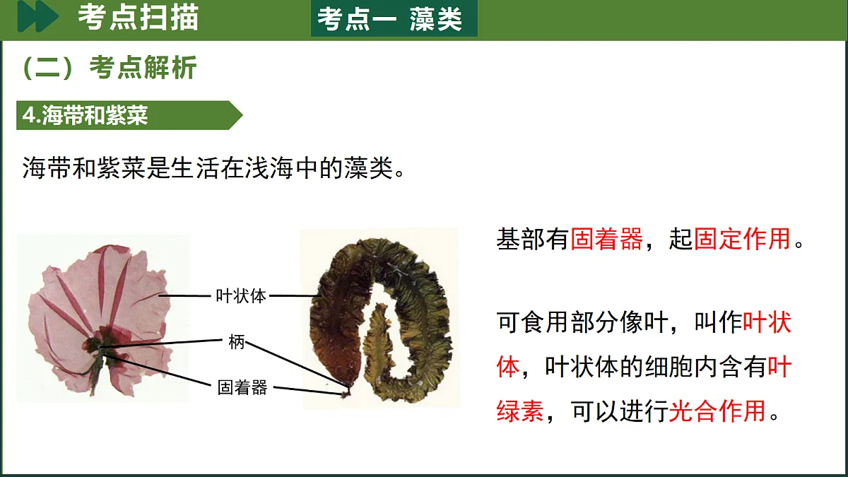 18190200第7页