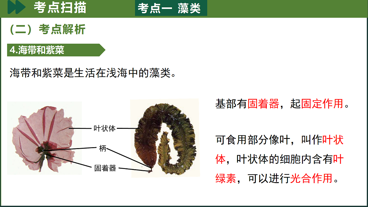 18190200第7页