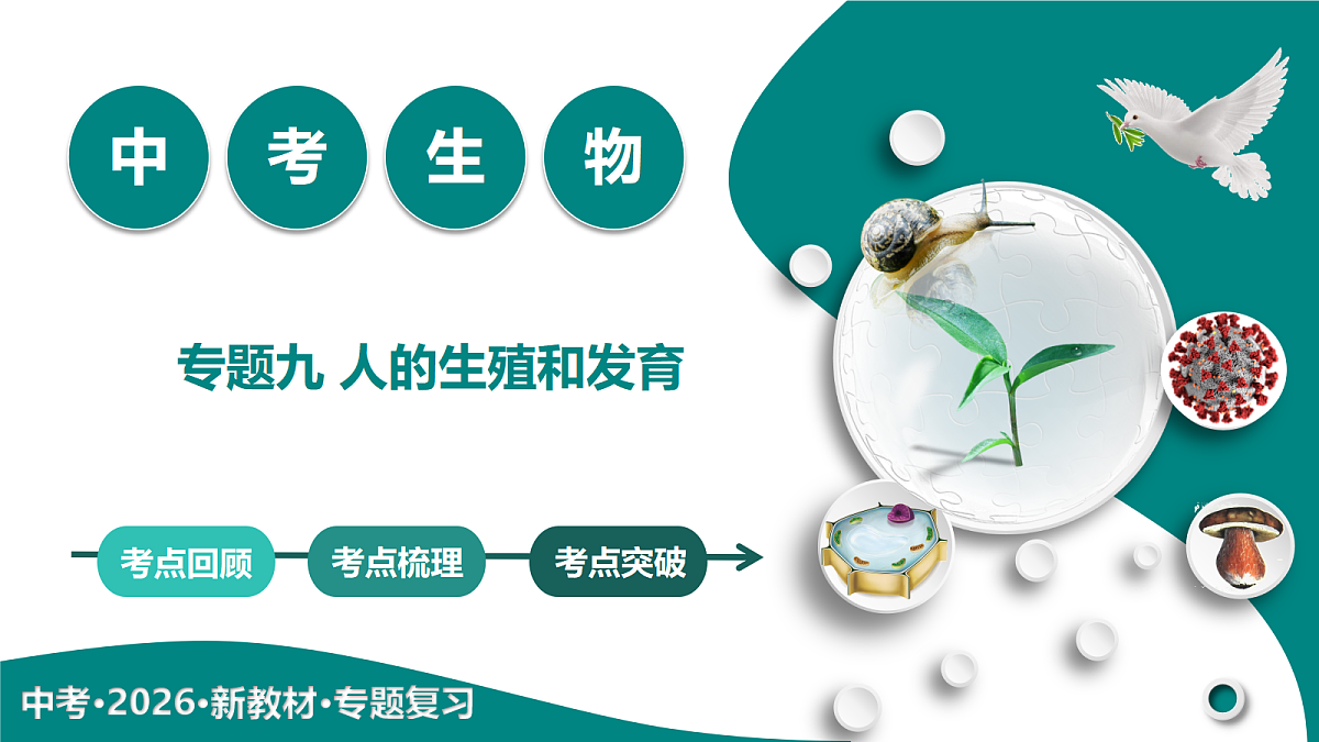 18190247第1页